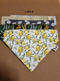 L Bandana Sets