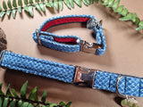 Royal Blue & Turquoise - Harris Design - Dog Collar