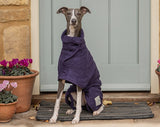 DACHSHUND Drying Coat - BLACKBERRY Classic Collection by RUFF & TUMBLE