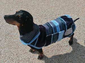 DACHSHUND Drying Coat - BLUE HARBOUR Design Collection by RUFF & TUMBLE
