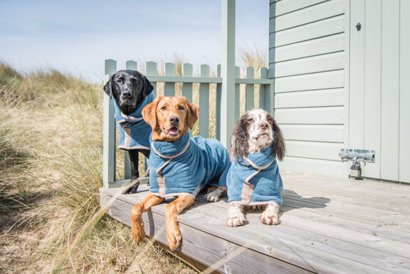 Dog Drying Coat - SANDRINGHAM BLUE Classic Collection by RUFF & TUMBLE