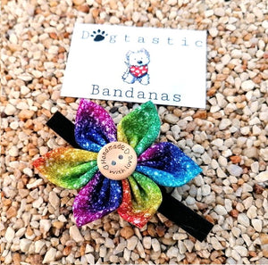 Rainbow Collar Flower by DOGTASTIC Bandanas