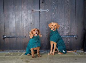Dog Drying Coat - BOTTLE GREEN Classic Collection by RUFF & TUMBLE