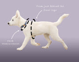Geranium & Dove - Harris Design - Dog Harness
